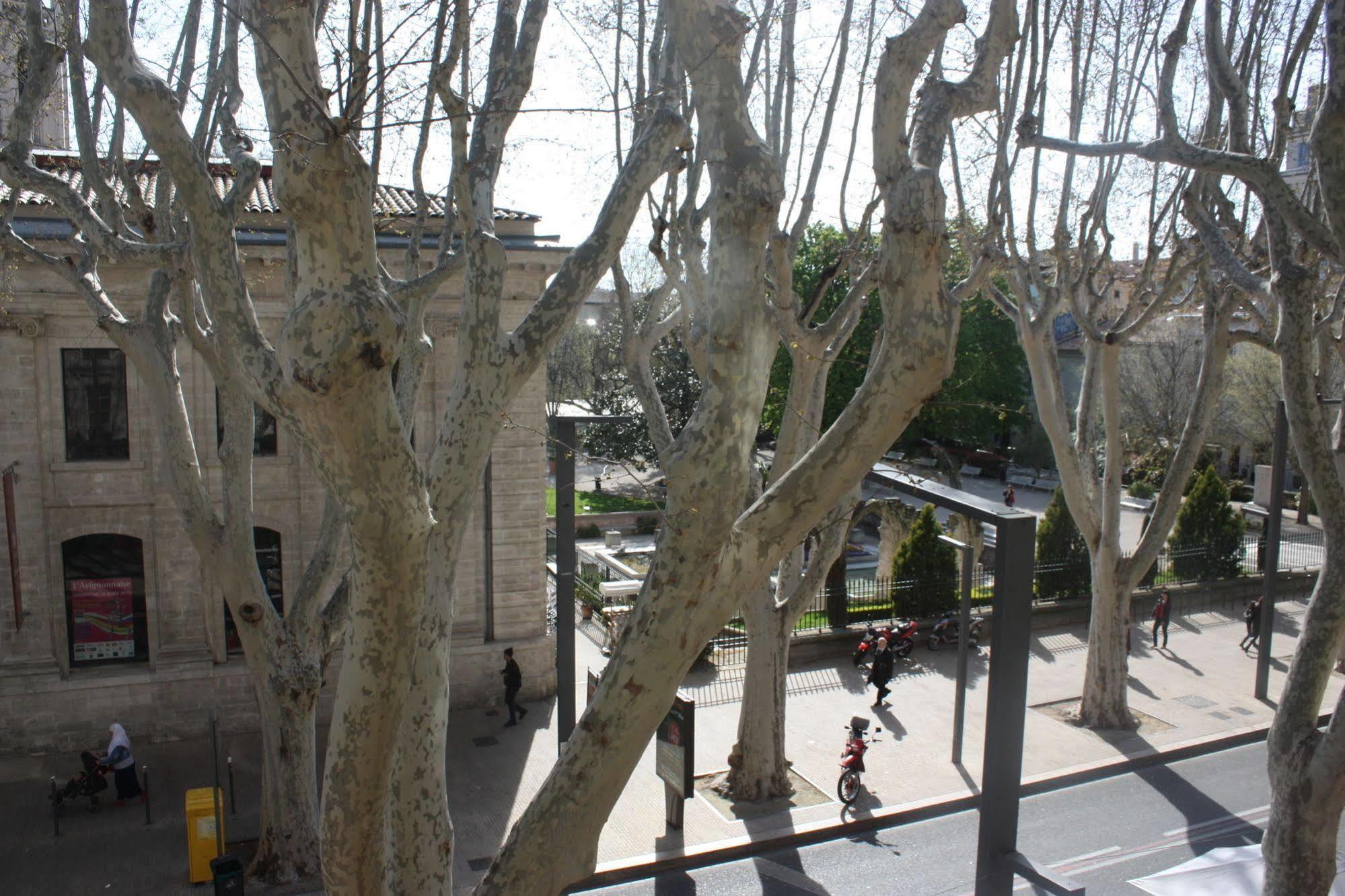 Hotel Alizea Avignon Exteriör bild